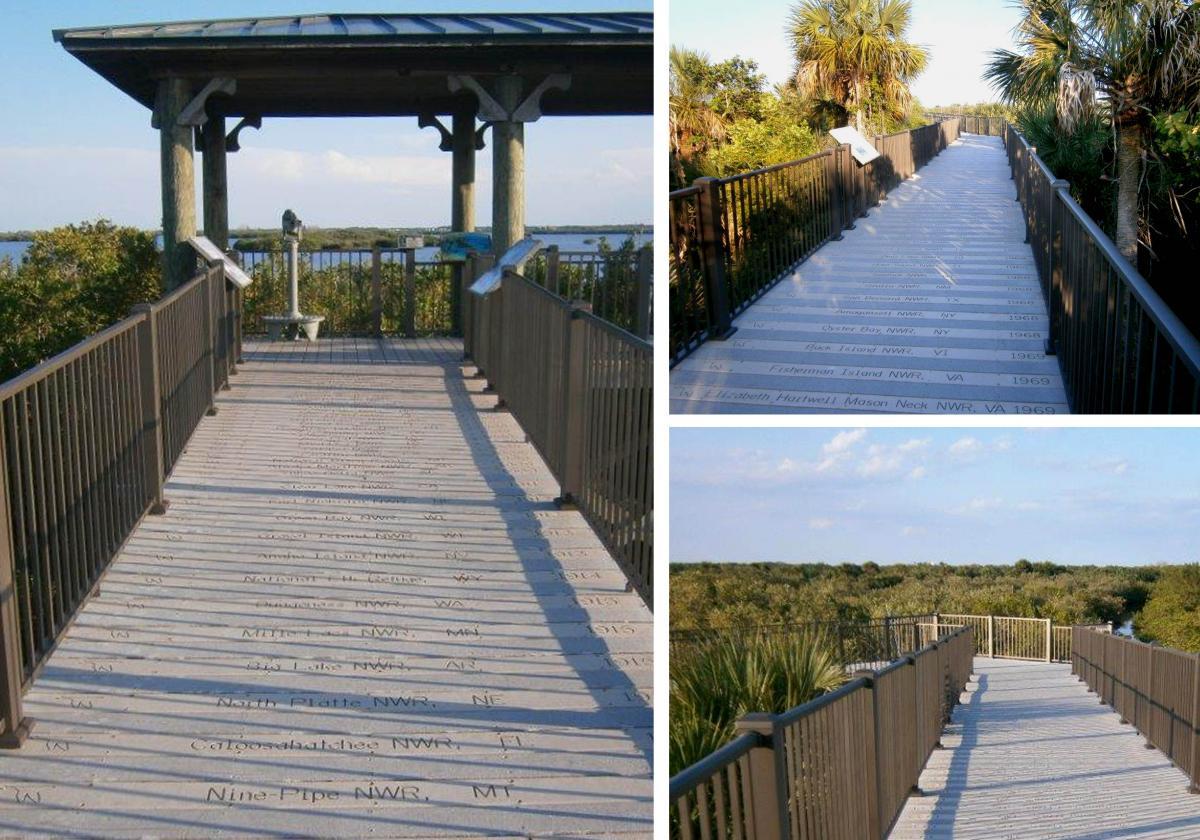 Centennial Trail Boardwalk Renovation